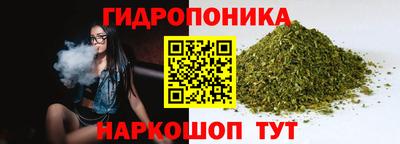 ECSTASY Гусев