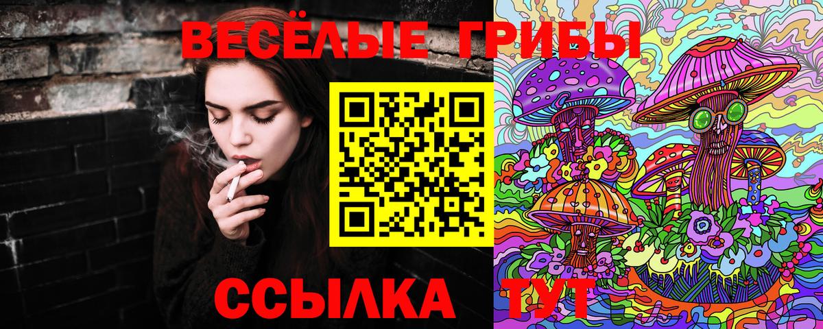 Псилоцибиновые грибы Psilocybine cubensis  Галлюциногенные грибы MAGIC MUSHROOMS  Вход с VPN  Малгобек 